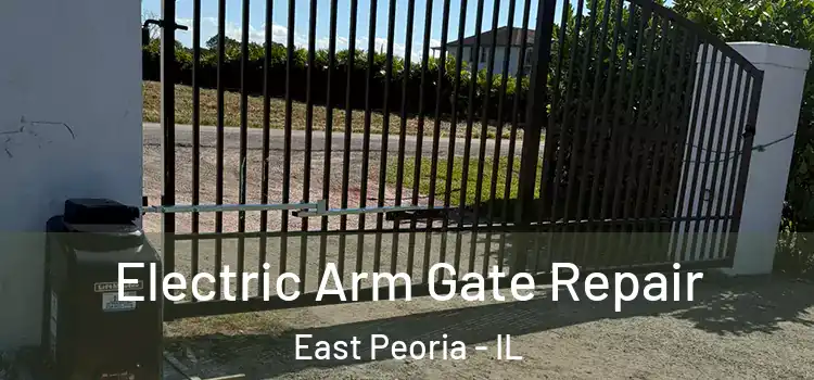  Electric Arm Gate Repair East Peoria - IL