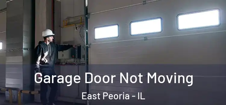  Garage Door Not Moving East Peoria - IL