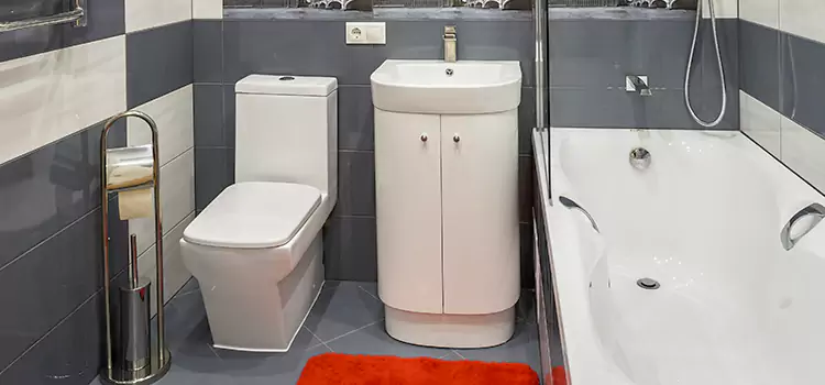 Hansgrohe Shaving Mirror East Peoria